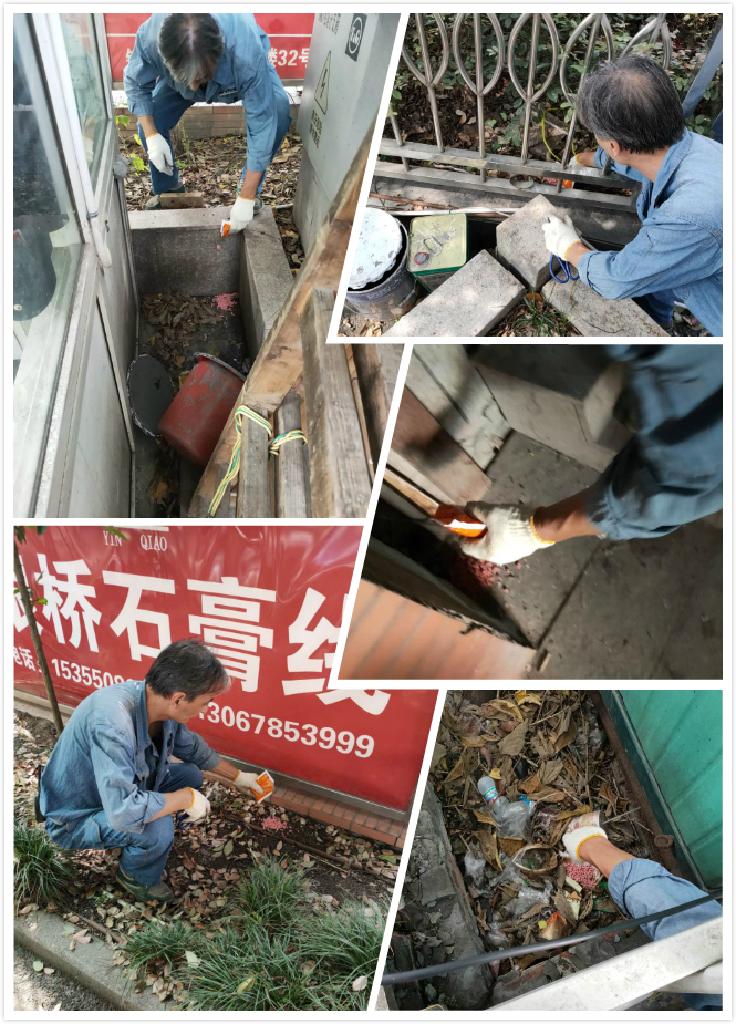 J9国际站备用市场开展冬季灭鼠