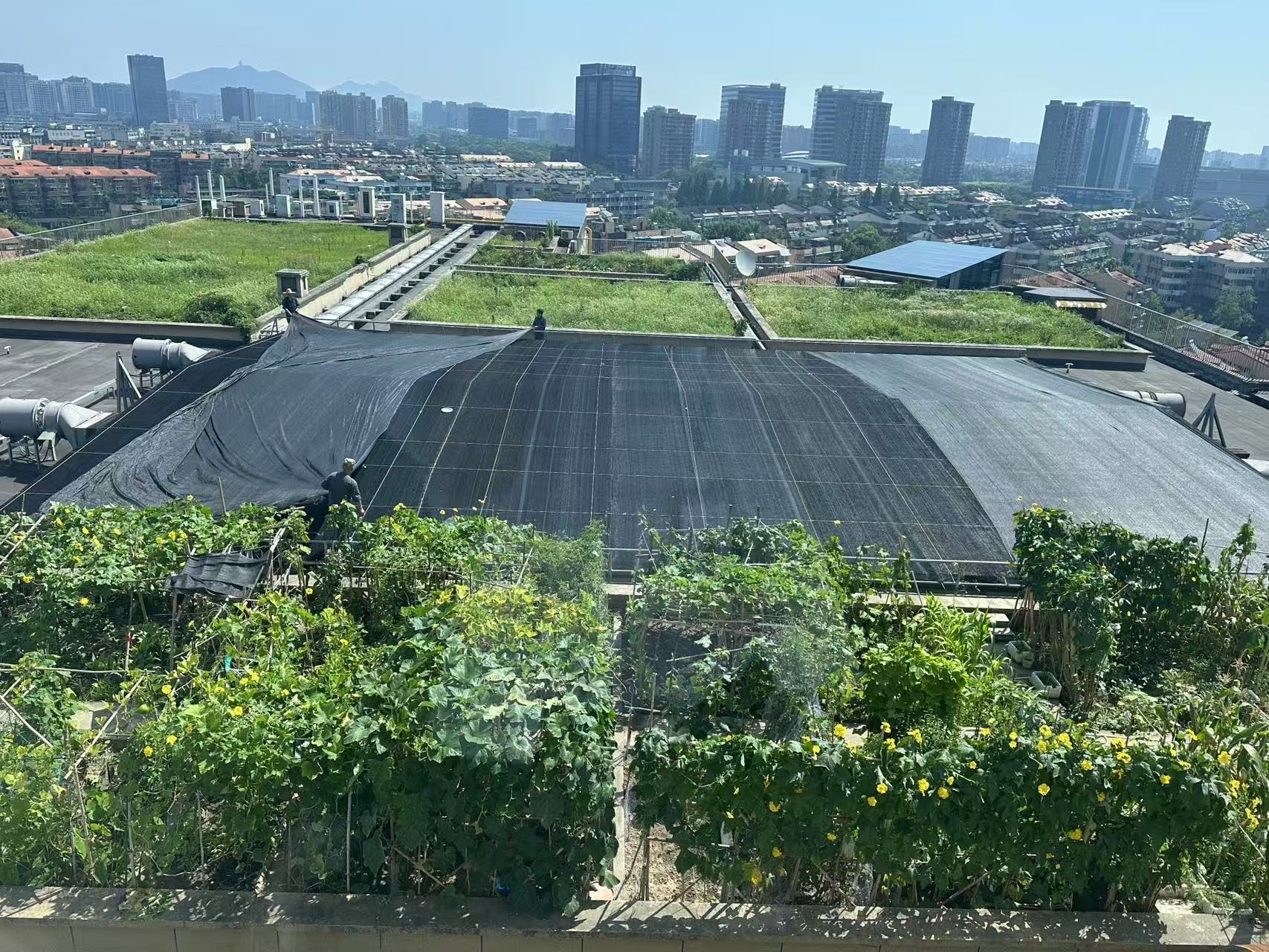 水晶城巧施”遮阳术“，为节能降耗注入清凉动力