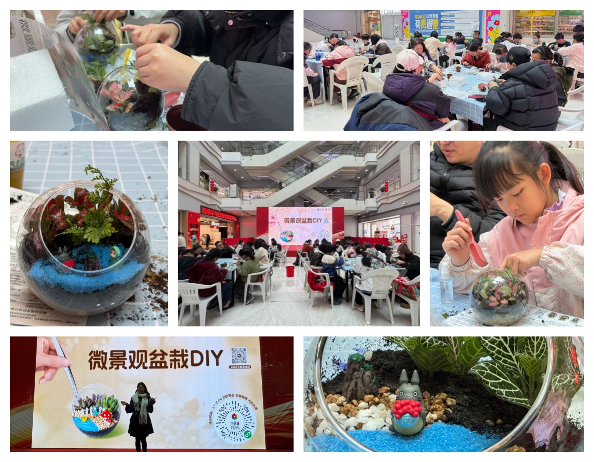 巧手造微景，指尖绽春意——水晶城微景观盆栽 DIY 活动圆满举办